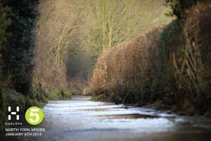 The road / ford / river!