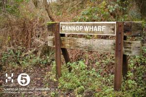 There was a control here - I can't believe I didn't notice it was a railway artefact!