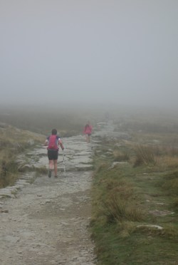 Ascending into the mists