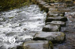 Oh, please can't we go this way?