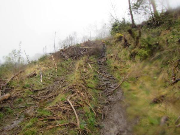 Then we went up this, which I do remember ... (Photo: Debbie Mutton)