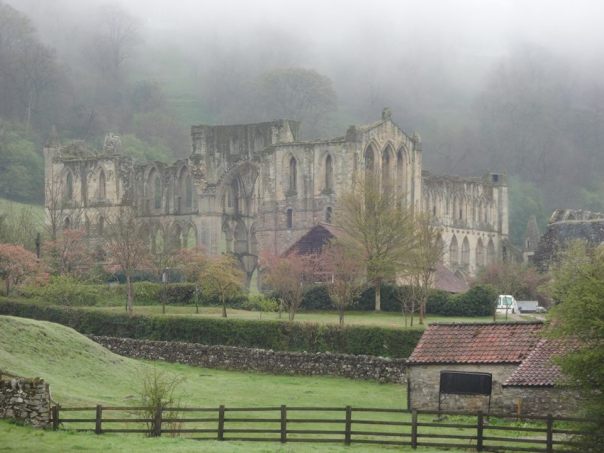 Rievaulx Abbey (Photo: Andy Petford)