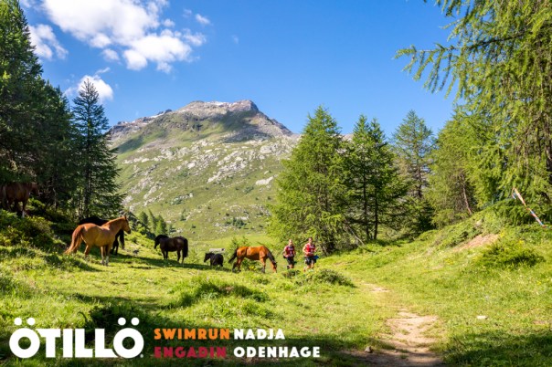 Shall we borrow a horse?